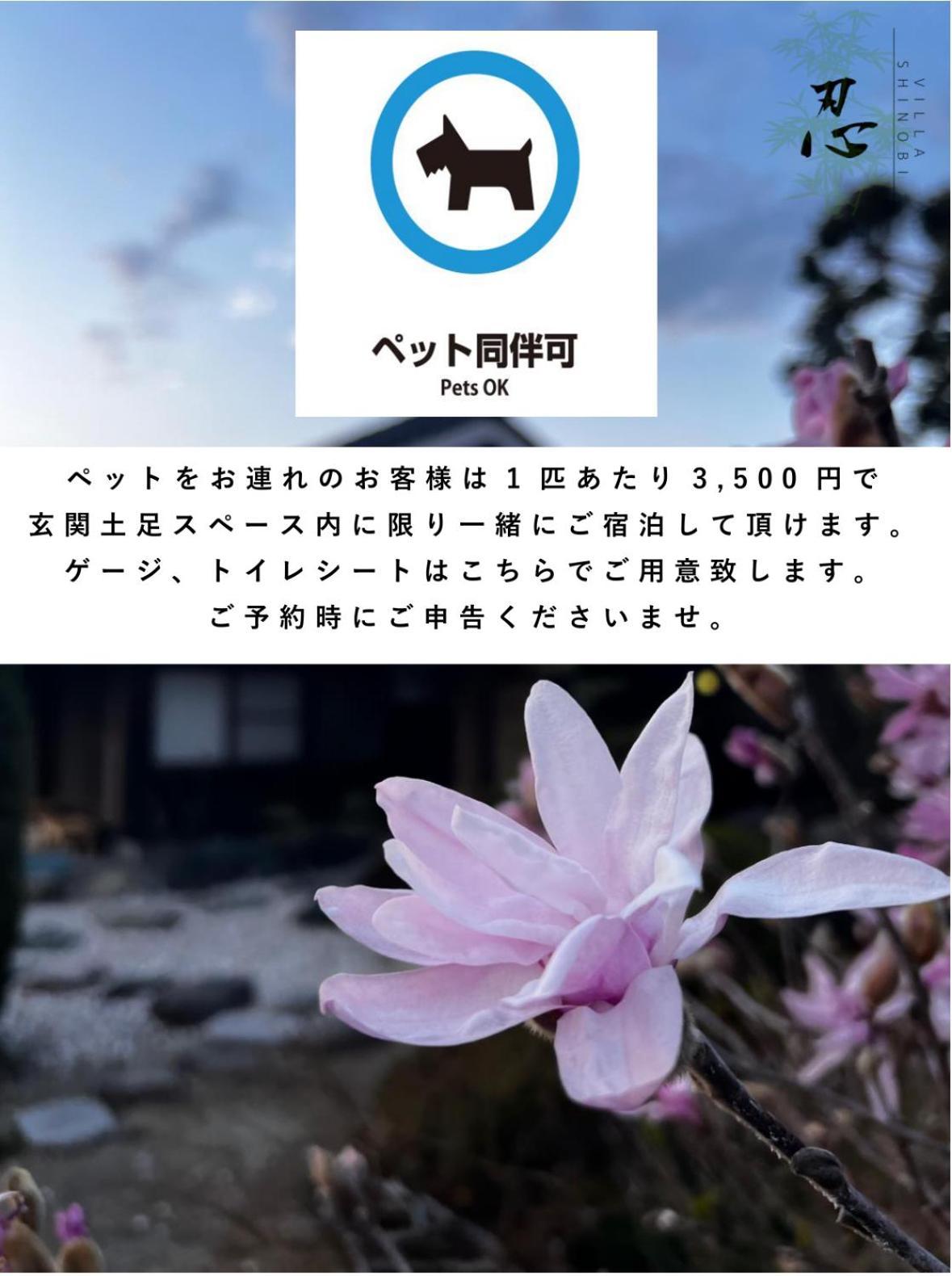 Villa Shinobi -忍- Hinase Exteriör bild